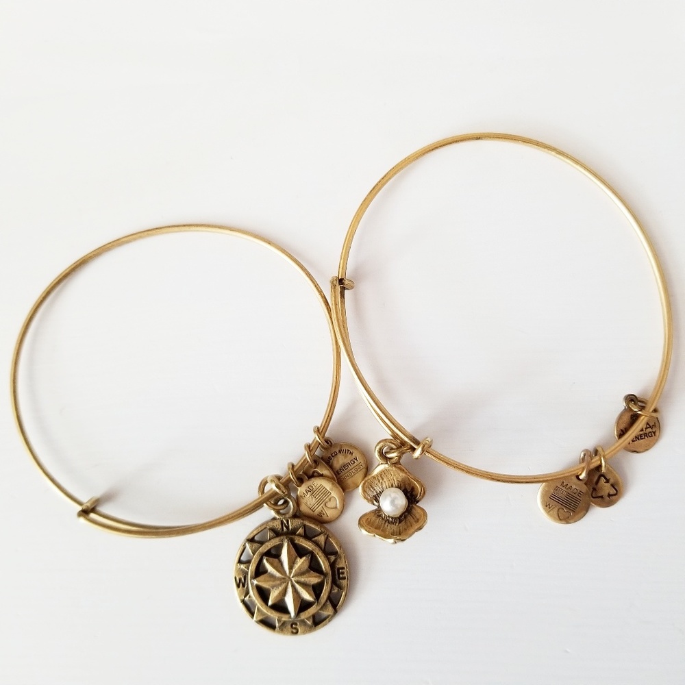 Alex and Ani Oyster with Pearl  Compass Bracelet
